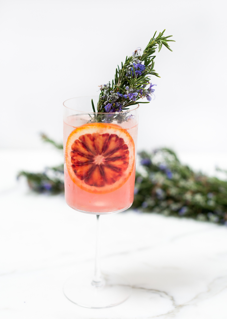 blood orange rosemary gin and tonic // recipe on craftandcocktails.co