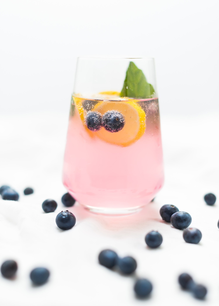 Blueberry Basil Lemon Spanish Gin & Tonics // see the recipe on craftandcocktails.co