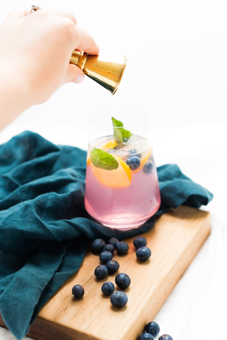 Blueberry Basil Lemon Spanish Gin & Tonics // see the recipe on craftandcocktails.co