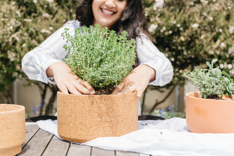 Summer Rooftop Soireé + Grapefruit Vanilla Thyme Fizz 