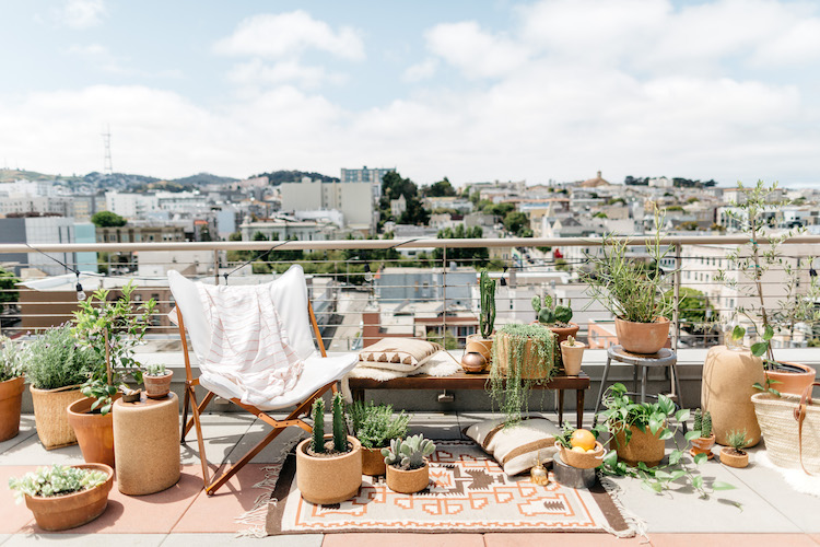 Summer Rooftop Soireé + Grapefruit Vanilla Thyme Fizz 