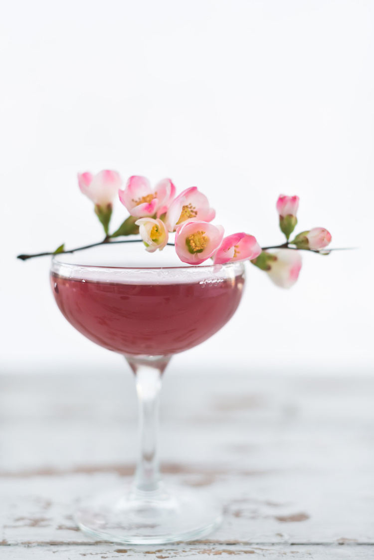 Cherry Blossom Cocktail // craftandcocktails.co for Design*Sponge