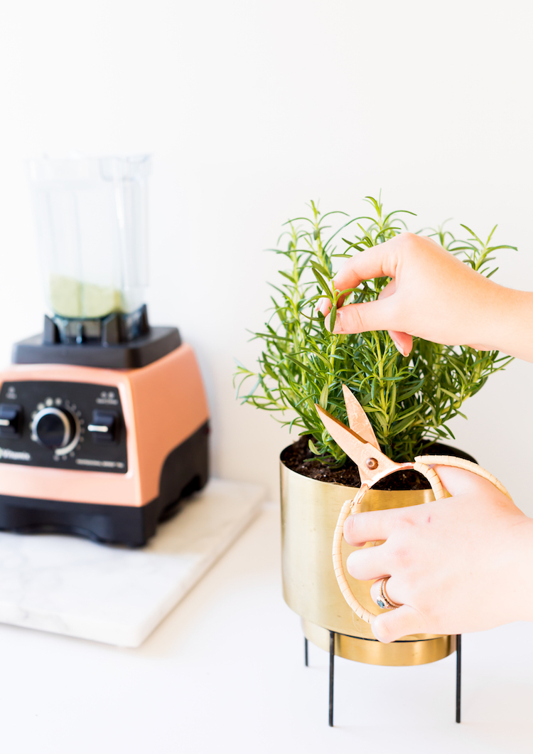 DIY salt rims for cocktails + Gin Greyhound cocktail // craftandcocktails.co