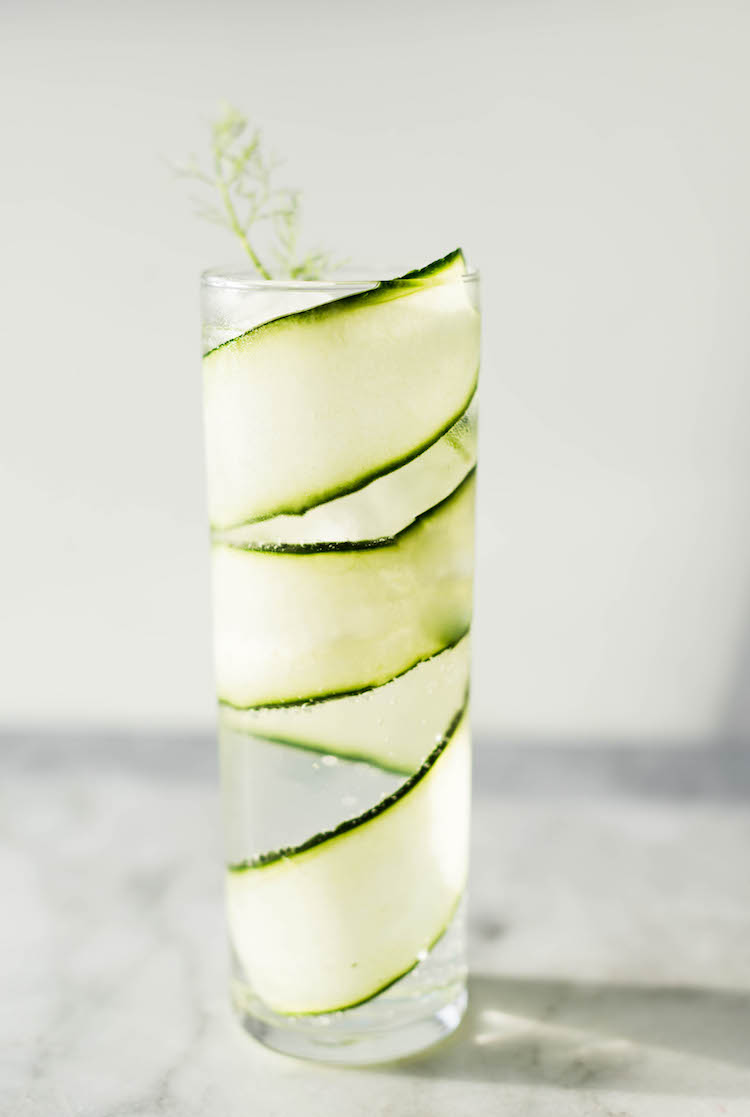 Cucumber Fennel Spanish Gin & Tonic | recipe on craftandcocktails.co