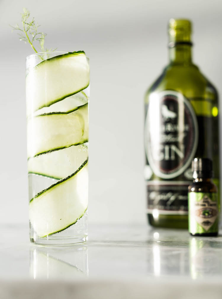 Cucumber Fennel Spanish Gin & Tonic | recipe on craftandcocktails.co
