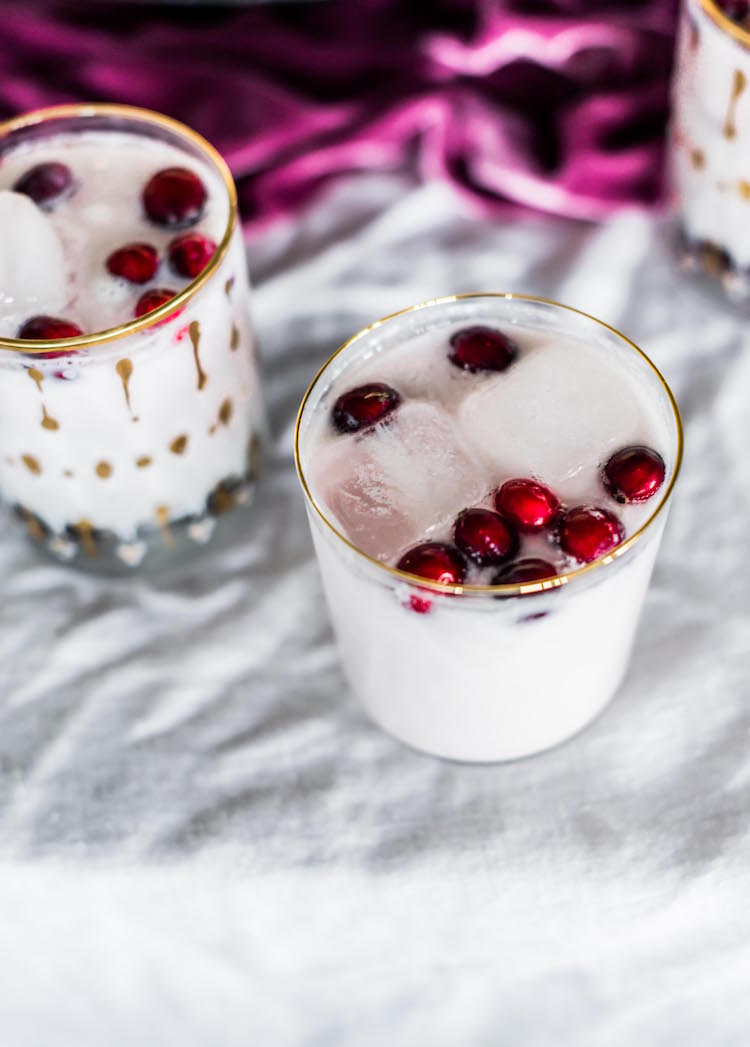 Coconut Cranberry Punch | recipe on craftandcocktails.co