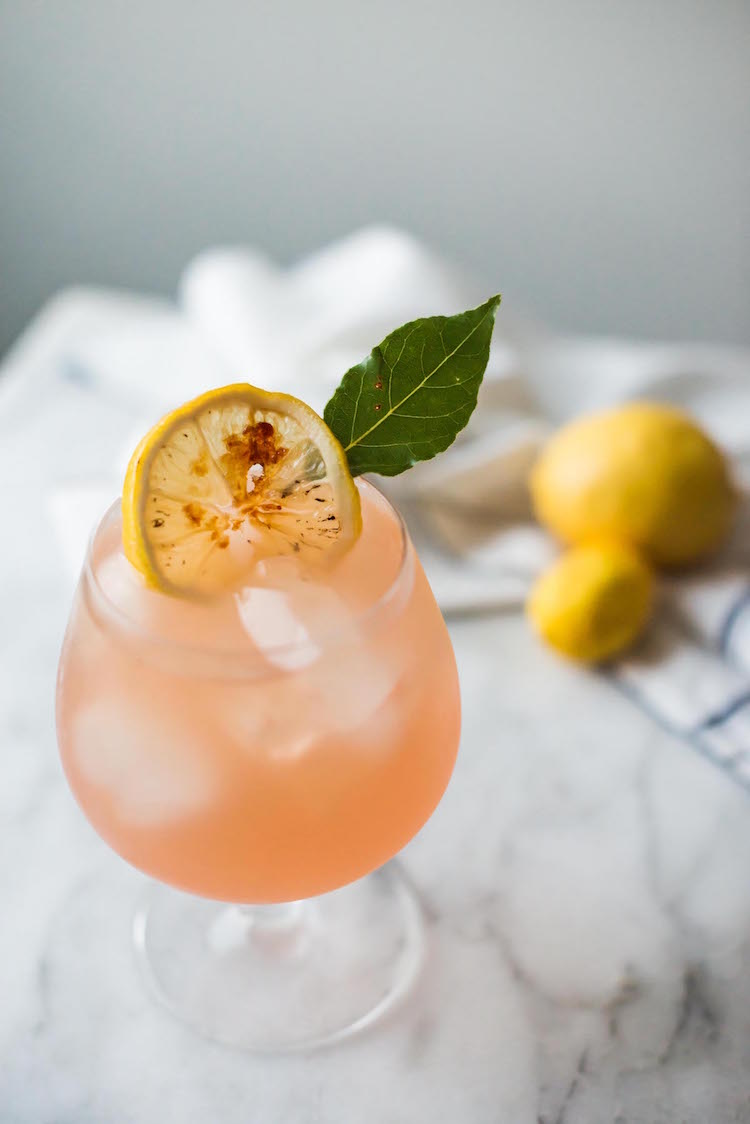 Dehydrated Grapefruit Cocktail Garnish, Grapefruit Slice