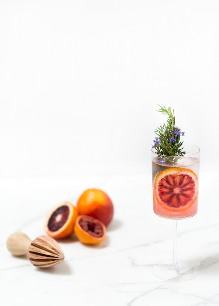 Blood Orange + Rosemary Spanish Gin & Tonics - Craft and Cocktails