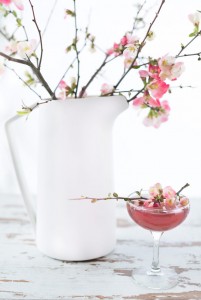 Cherry Blossom Cocktail // craftandcocktails.co for Design*Sponge