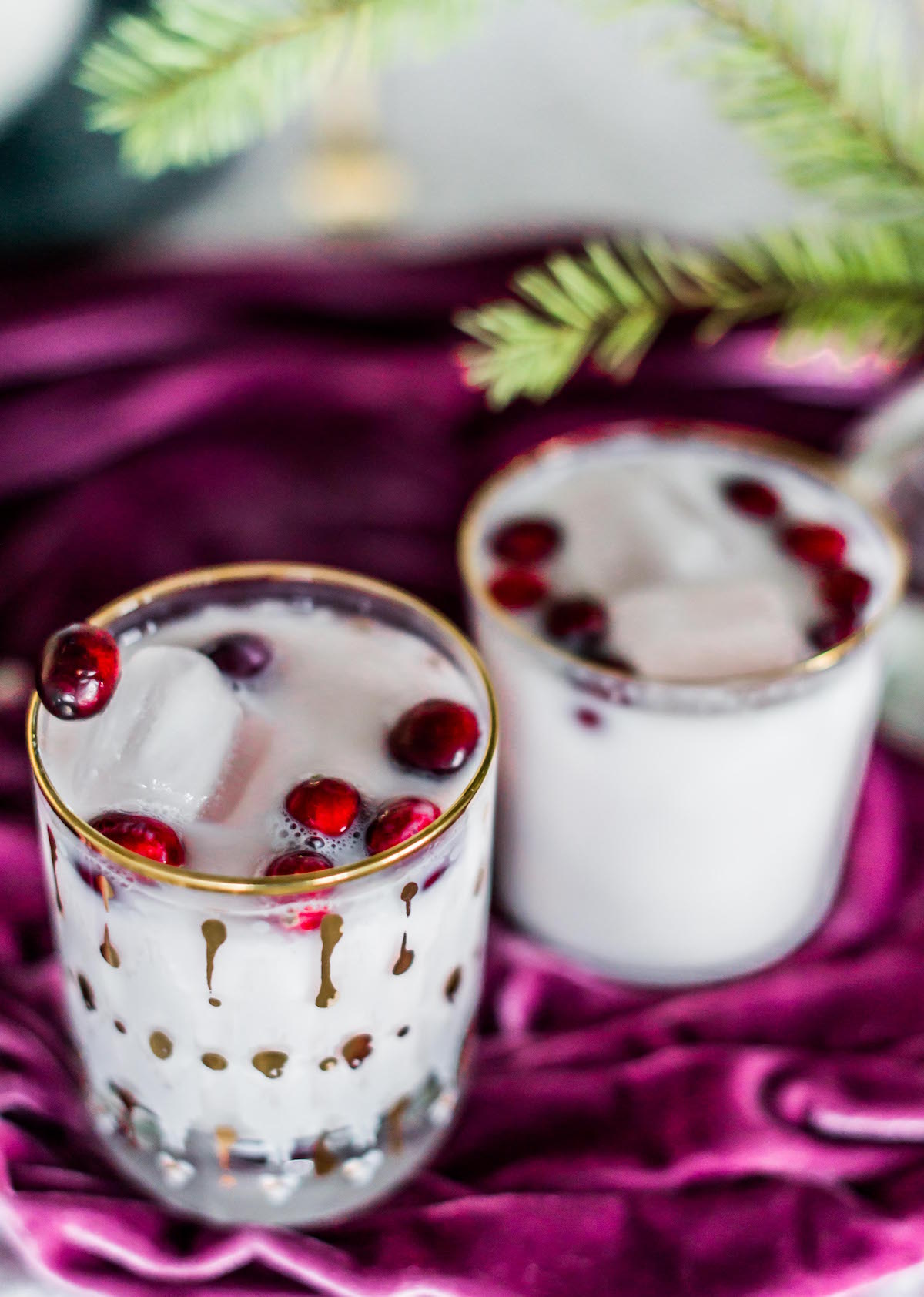 Coconut Cranberry Punch - Craft and Cocktails